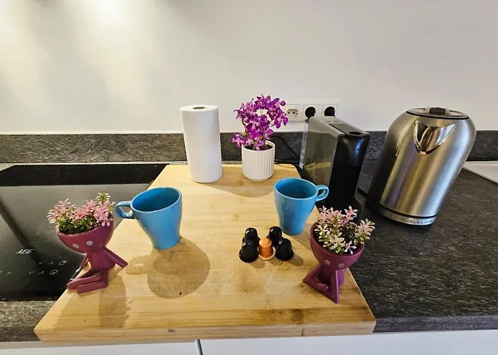 Cozy 1 Bedroom Flat With Private Terrace