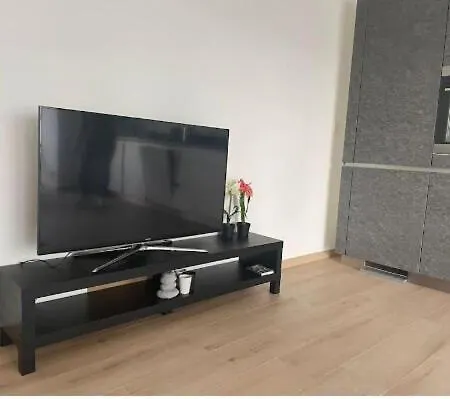 Cozy 1 Bedroom Flat With Private Terrace * Λουξεμβούργο